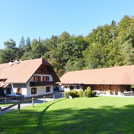 Domacija Seruga Countryside Hotel Novo Mesto Buitenkant foto