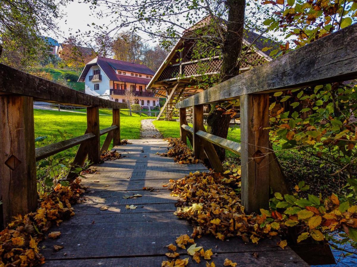 Domacija Seruga Countryside Hotel Novo Mesto Buitenkant foto
