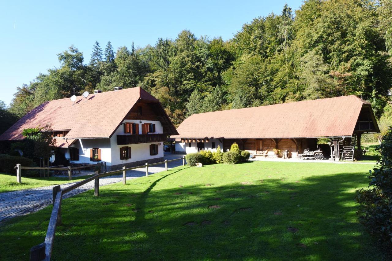 Domacija Seruga Countryside Hotel Novo Mesto Buitenkant foto