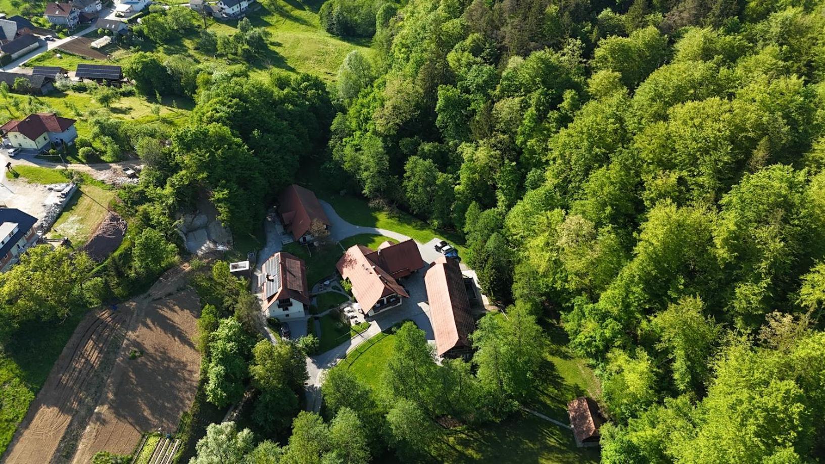 Domacija Seruga Countryside Hotel Novo Mesto Buitenkant foto