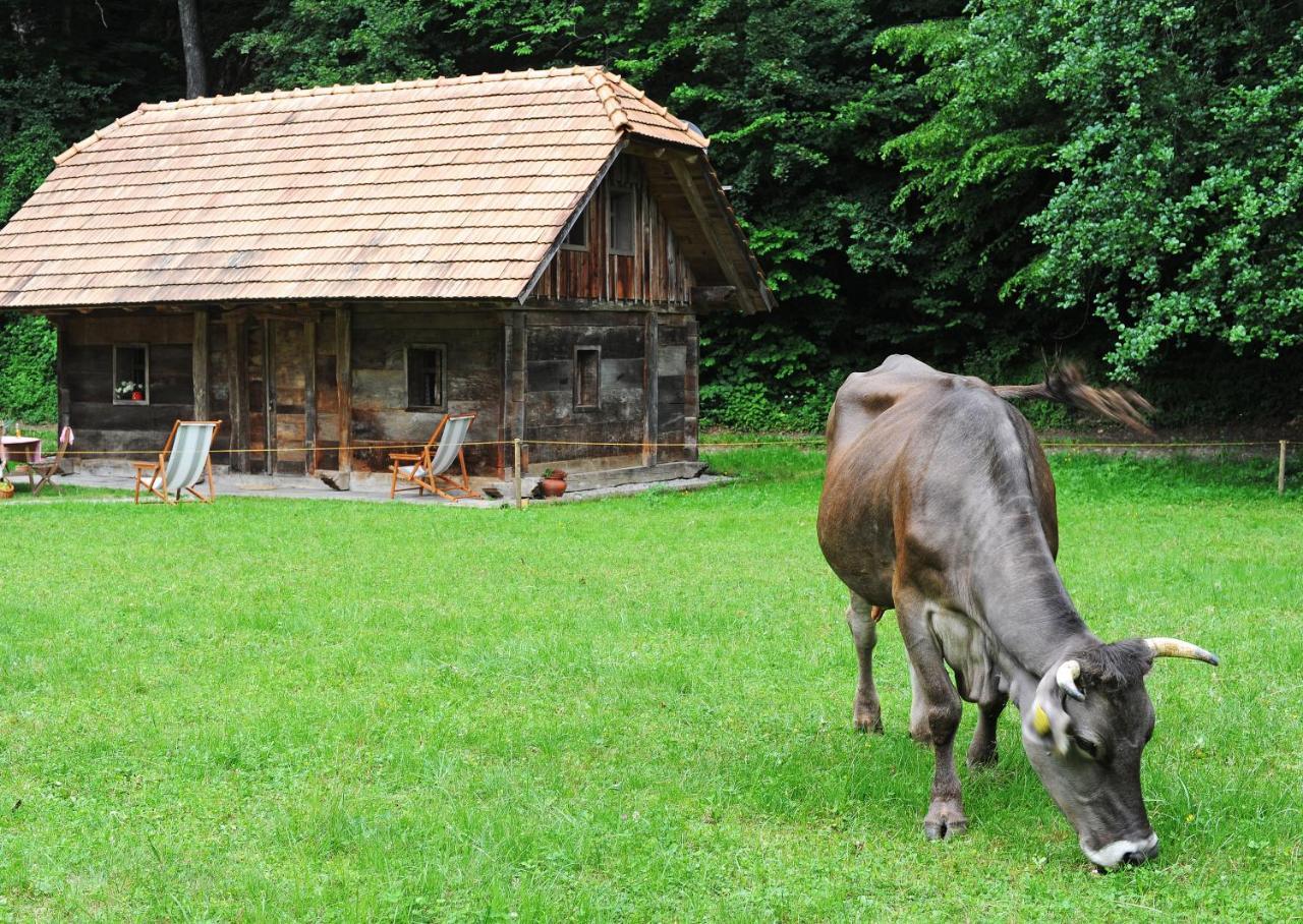 Domacija Seruga Countryside Hotel Novo Mesto Buitenkant foto