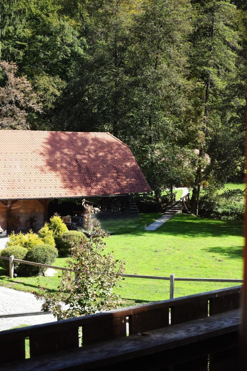 Domacija Seruga Countryside Hotel Novo Mesto Buitenkant foto