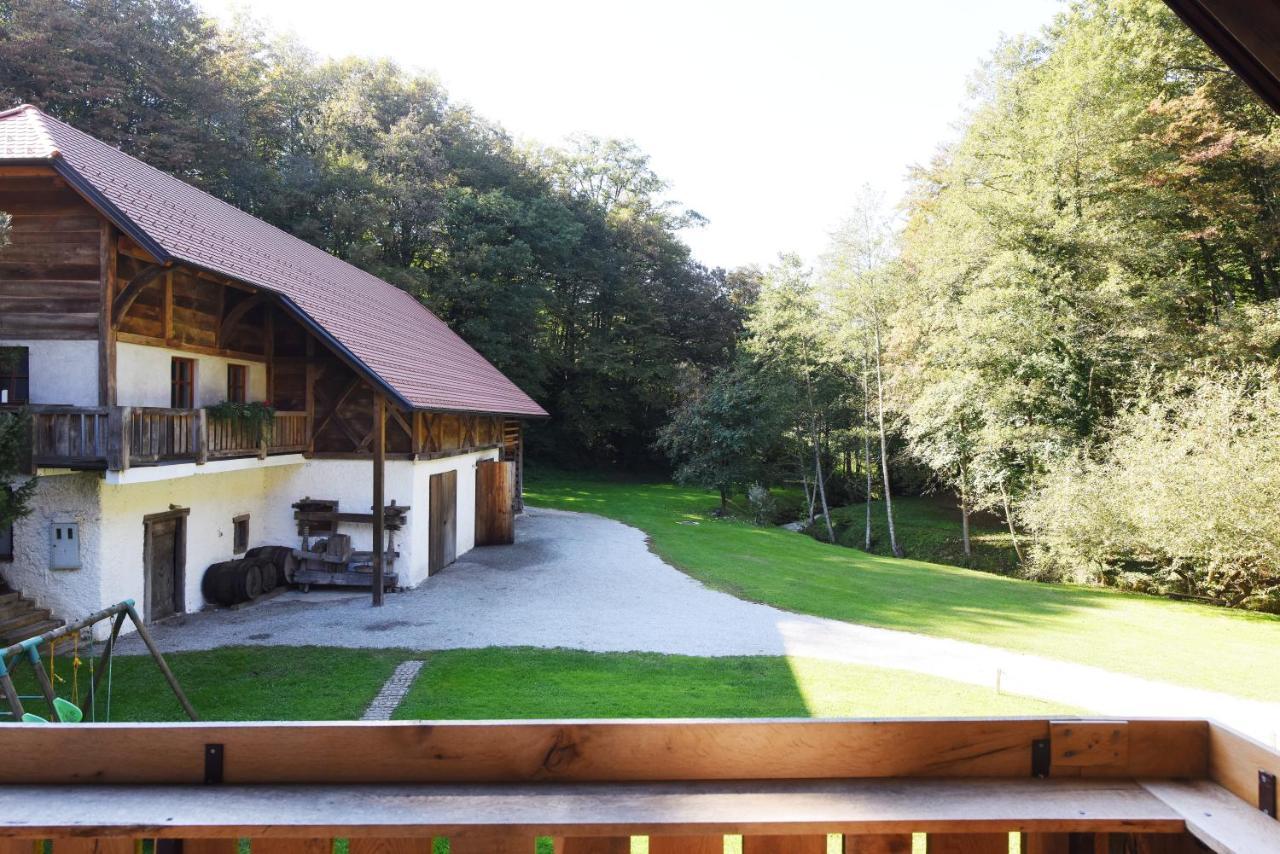 Domacija Seruga Countryside Hotel Novo Mesto Buitenkant foto