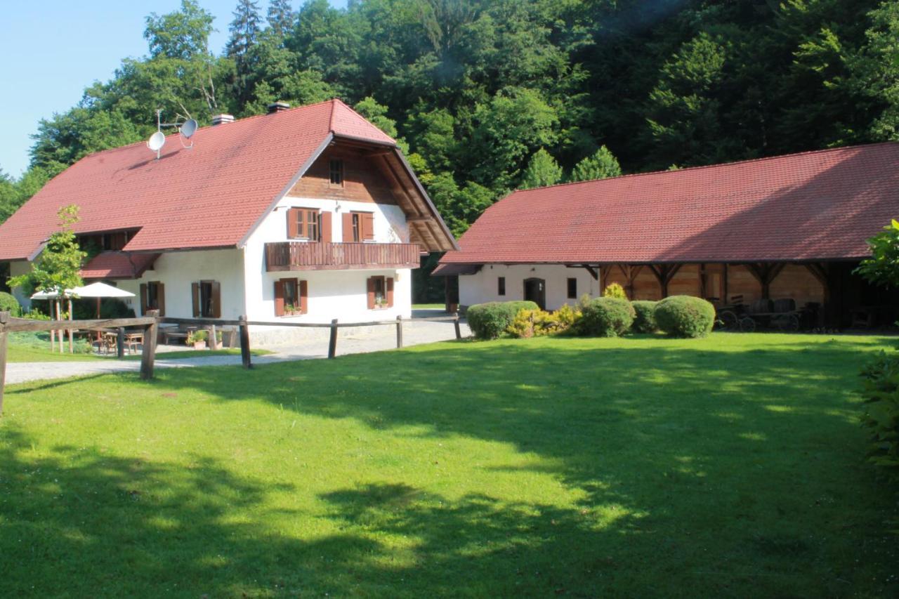 Domacija Seruga Countryside Hotel Novo Mesto Buitenkant foto